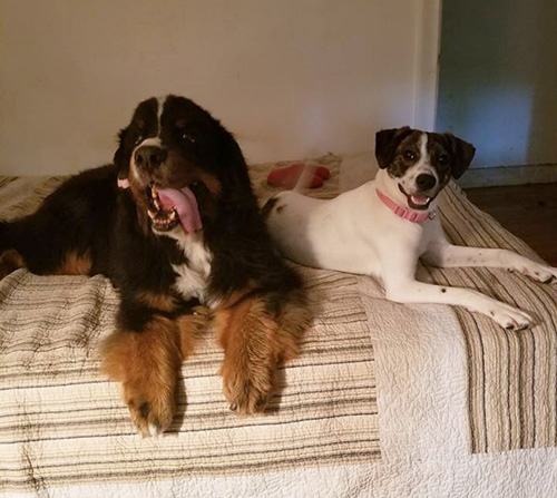 Anita's companions Jessie and Lance